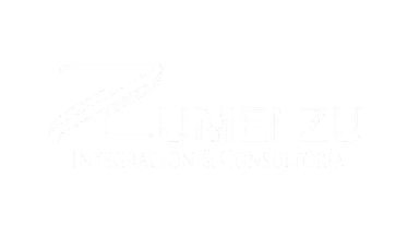 zumelzu_asesorias